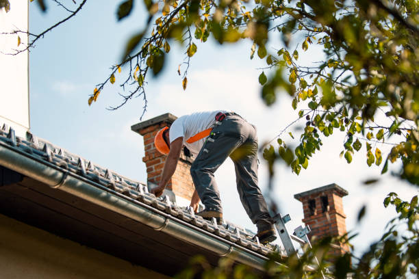 Best Roof Gutter Cleaning  in Three Rivers, OR