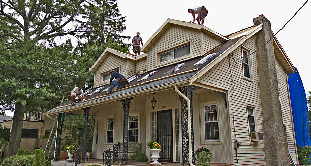 Best Metal Roofing Contractor  in Three Rivers, OR